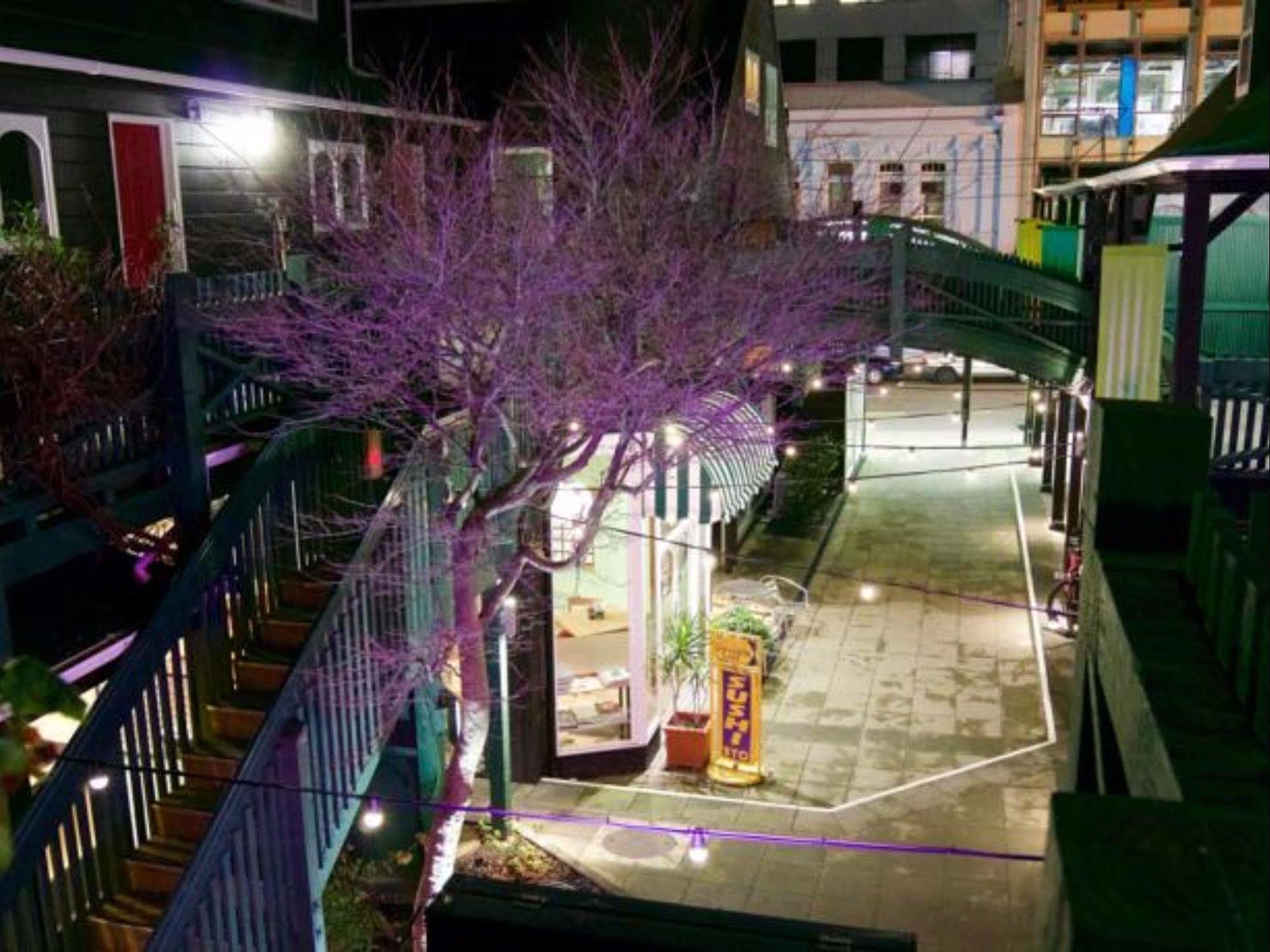 Willis Village Wellington Luaran gambar
